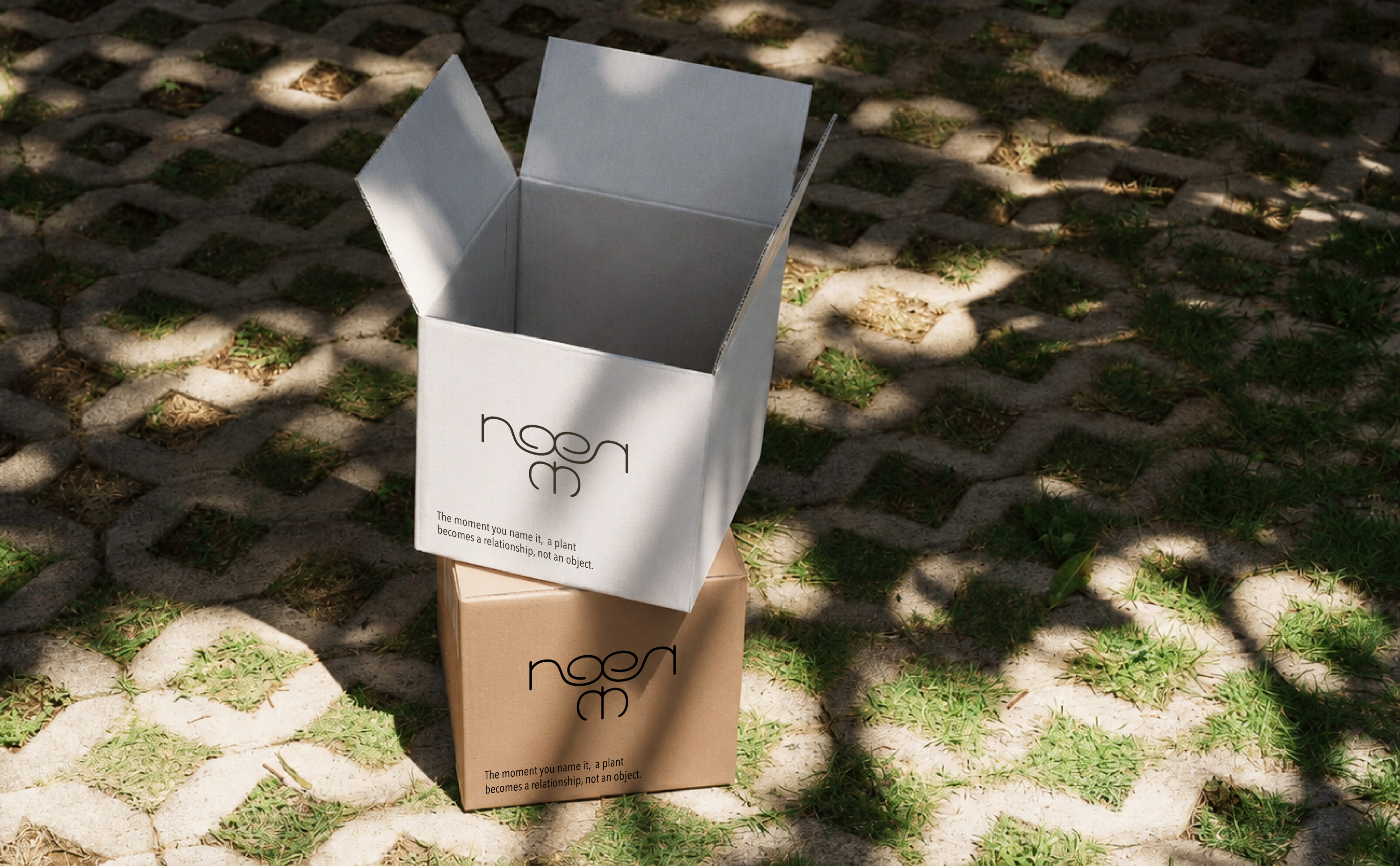 NOMEN store image 02